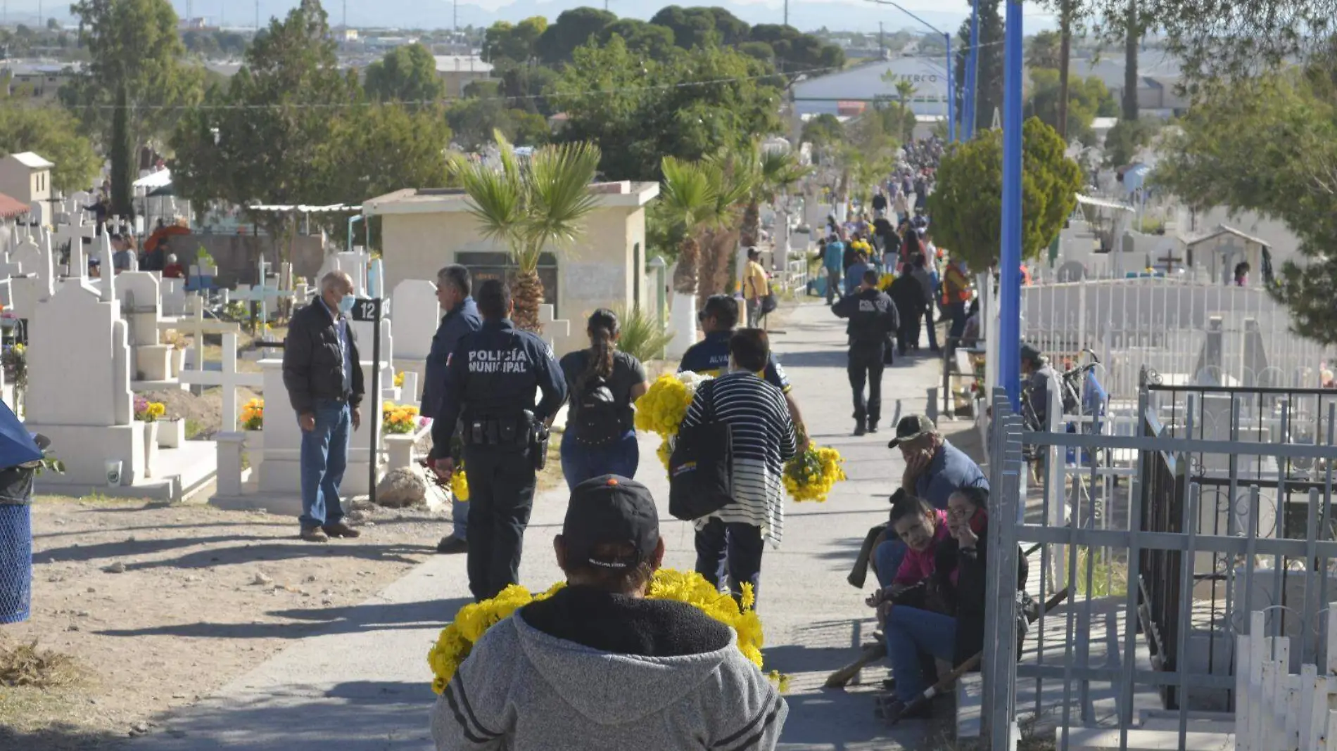 operativo día de muertos